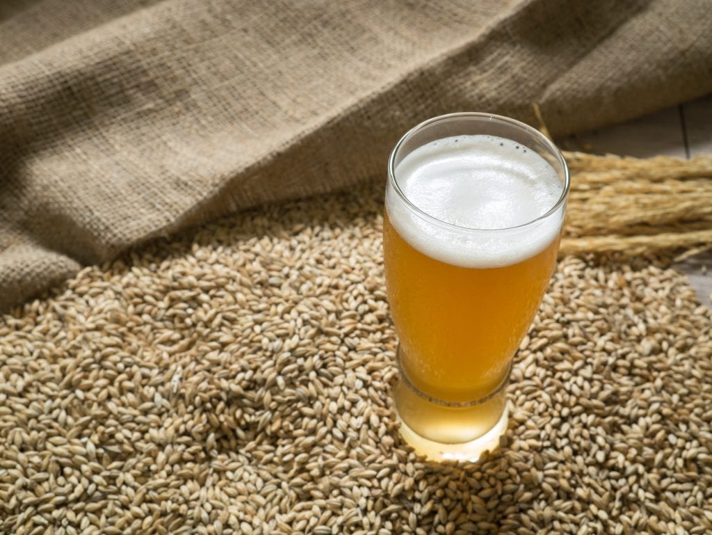 A glass of beer on a yeast